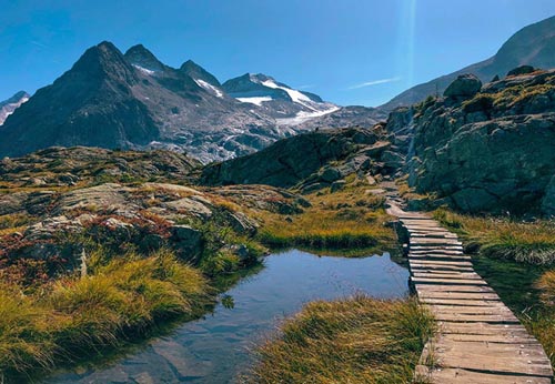 torre_del_brenta_motivi