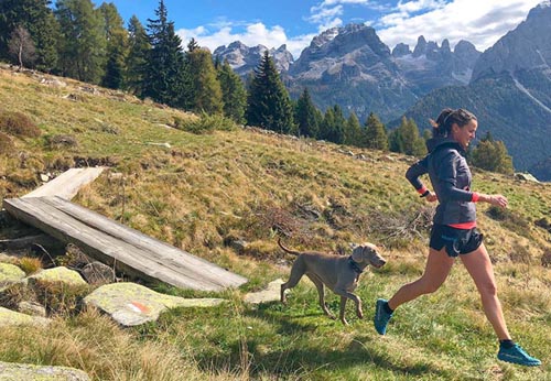 torre_del_brenta_motivi